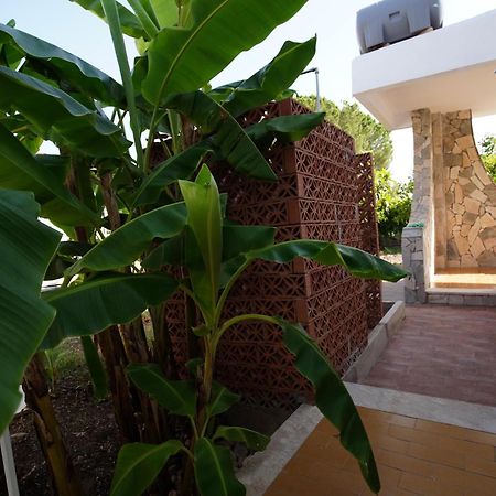Villetta Mare "Gelsomino Bianco" Фонтане-Б'янке Екстер'єр фото